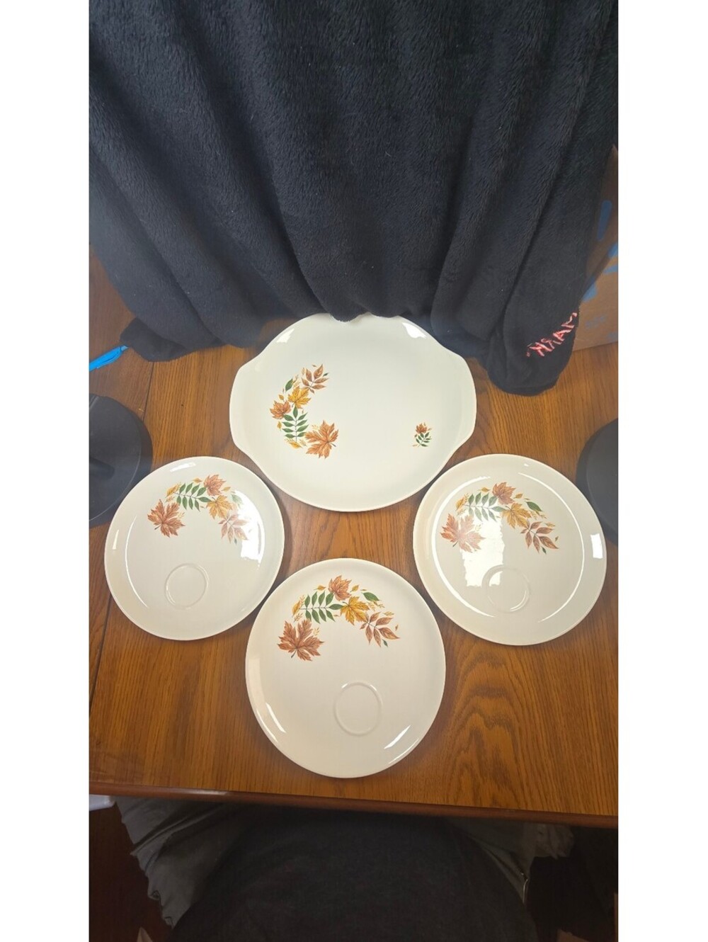 Salem Autumn Leaf Pattern Ceramic Plates and Serving Dish Set